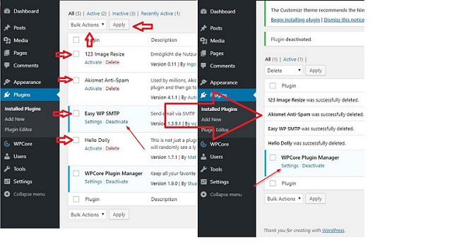 Delete WordPress Plugins